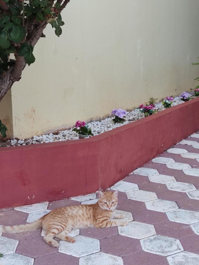 Hotel Takis Agios Georgios  Buitenkant foto